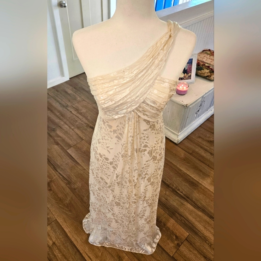 NWOT'S - ALEX EVENINGS - Cream White Floral Print On Shear- Size 4 - 2 piece set - Picture 2 of 11